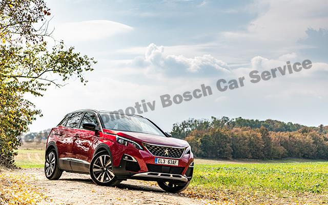 Gaziantep Peugeot Servis